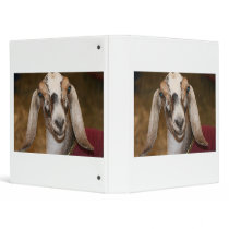 Nubian Dairy Goat Doe White Stripe Caprine Vinyl Binder