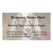 Nubian Dairy Goat Doe White Stripe Caprine Business Card