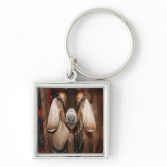 Nubian doe head on getting out of gate keychains