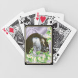 Nubian Goat Bicycle Playing Cards