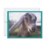 Nubian Goat Personalized Invitations