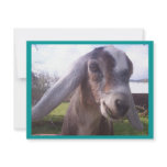 Nubian Goat Personalized Invitations