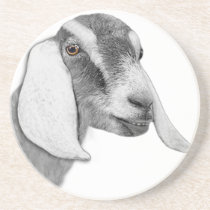 Nubian Goat Sandstone Coaster