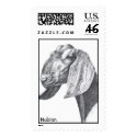 Nubian Head postage by FaunaArt Nubian Head postage