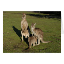 Nuclear 'Roos cards