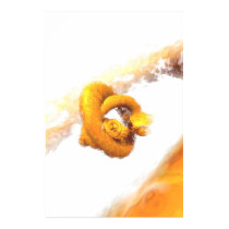 Nucleus I posters