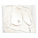 Nude Outline in chalk posters