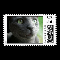 NudeMail - Kraven "Happy Bear" Stamp stamps
