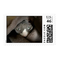 NudeMail - Merrik "Destroyer" Stamp by masao626 NudeMail - Merrik "Destroyer" Stamp