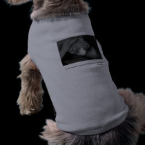 NudeWare - "I am become death..." pet clothing