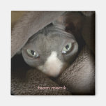 NudeWare - Team Merrik Magnet