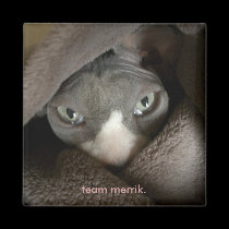 NudeWare - Team Merrik Magnet magnets