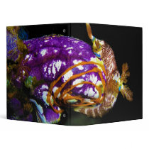 Nudibranch Laying Egg Sea Squirt Polycarpa Aurata Vinyl Binders