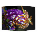 Nudibranch Laying Egg Sea Squirt Polycarpa Aurata binders