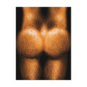 Nudist - Just Cheeky postcards