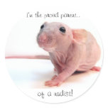 Nudist Rat stickers
