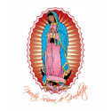 Nuestra Señora de Guadalupe Ladies Spaghetti Top t-shirts