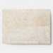 Back (Top Flap)