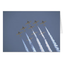 Nueve Snowbirds de debajo Tarjetón