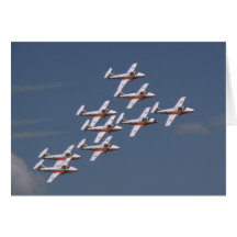 Nueve Snowbirds en la formación cercana Felicitaciones