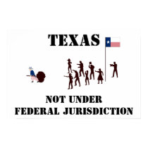 NUFJtexasfolksflagposter posters by notunder99 NUFJtexasfolksflagposter posters