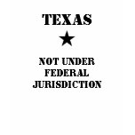 NUFJtexaslonestarfrontonly t-shirts
