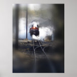 Number 89 posters