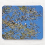 Number Of Birds In Tree, Mousepads