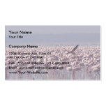 Number Of Flamingoes On The Beach Business Card Template