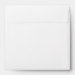 Back (Top Flap)