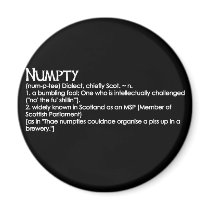 Numpty Magnets