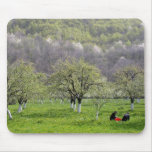 Nuns Mouse Pads