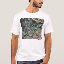 Nurse shark around t-shirts by ceberhardt Nurse shark around t-shirts