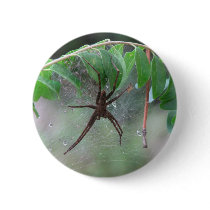 Nurse Spider and Young Pinback Buttons