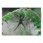 Nurse Spider and Young Greeting Cards