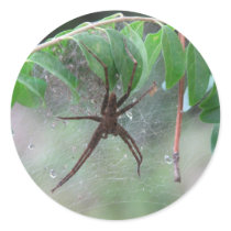 Nurse Spider and Young stickers