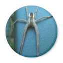 Nursery Web Spider ~ mag magnets by Andy2302 Nursery Web Spider ~ mag magnets