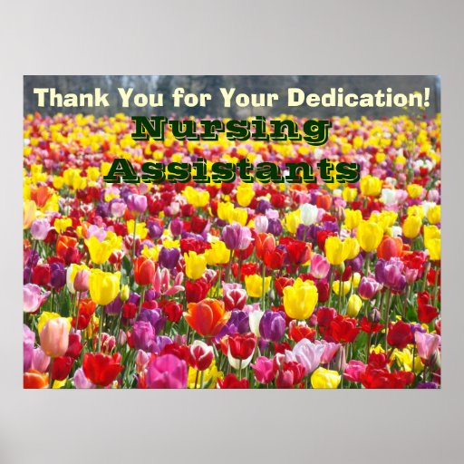 Nursing Assistants Week posters Thanks Dedication Zazzle