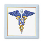 Nursing Caduceus magnets
