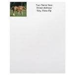 Nursing Foal Personalized Letterhead