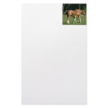 Nursing Foal Stationery Design