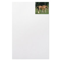 Nursing Foal Stationery Design