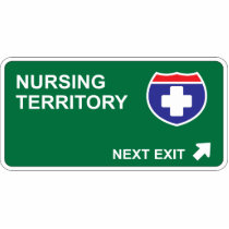 Nursing Next Exit photo sculptures