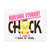 Nursing Student Chick 1 Post Cards