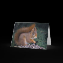 Nut Brunch Card by Marmotta Nut Brunch Card