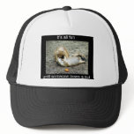 Nut Hat