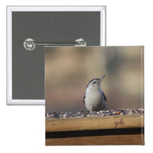 Nut Hatch Button