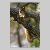 Nut Patrol fine art print posters