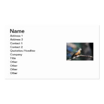 Nuthatch Business Card