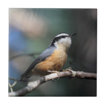 Nuthatch Ceramic Tiles